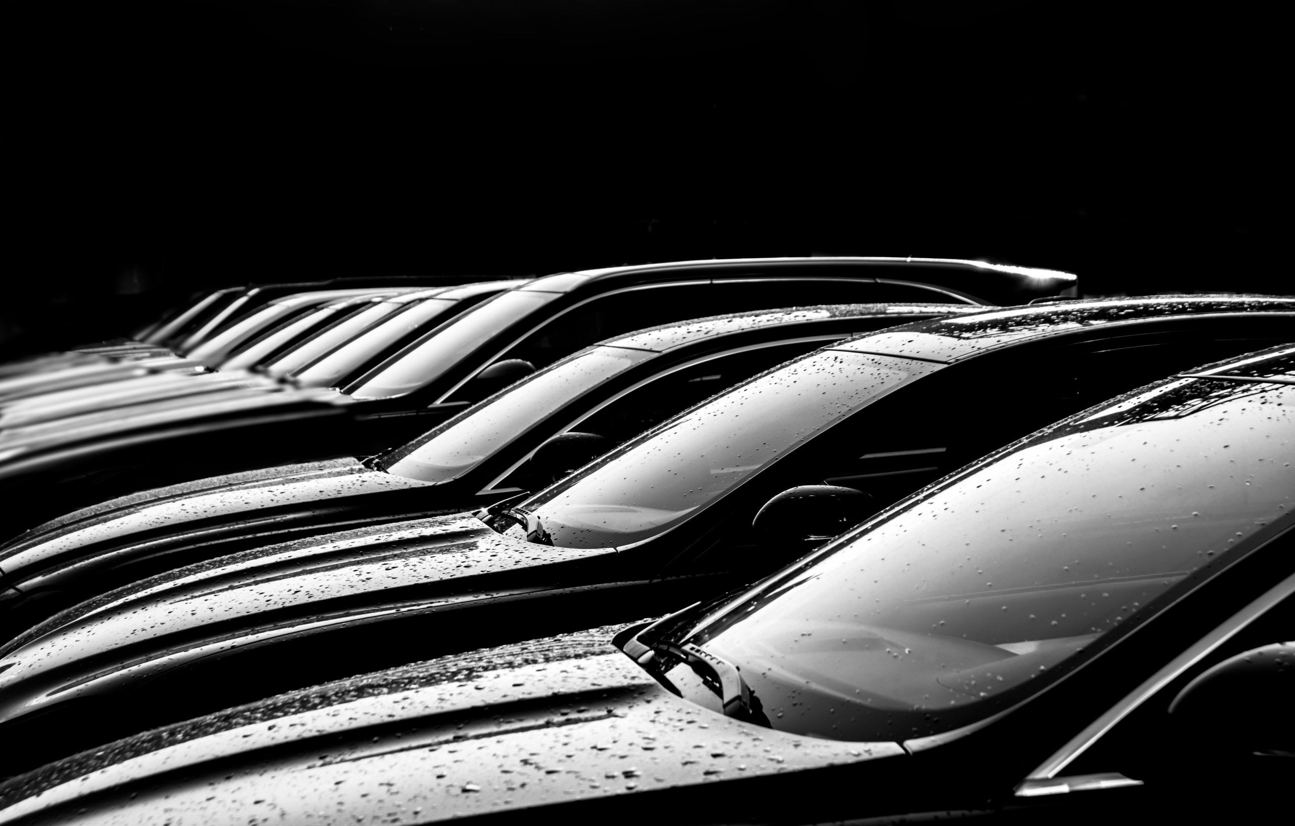 Black and white image of brand new cars in a row at a dealership.